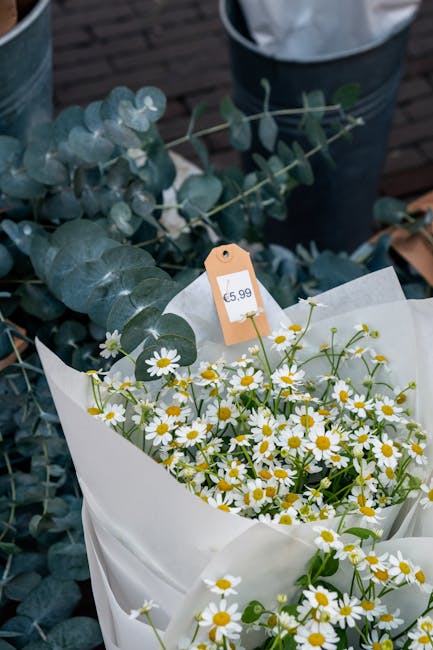 A bouquet of fresh daisy flowers with white petals and yellow centers, wrapped in white paper, resting on a surface. The bouquet is accented with green foliage and stems, and a small orange price tag 